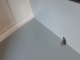 耳邊淫蕩聲響與呢喃淫語讓人融化般的ASMR男士按摩 佐藤乃乃花 EMSK002