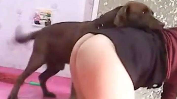 性感骚妇肛塞尾巴卖力毒龙舔鸡巴女上疯狂抽插淫水横流