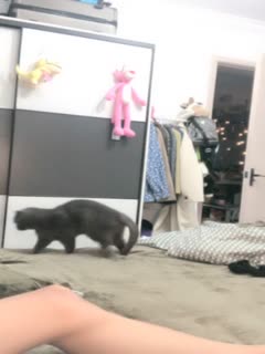 反差婊福利視頻1 Part E1583