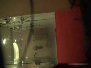 JOKER餐馆的扶他娘淫乱故事 ChimpuraGirls的翘臀自慰普通版