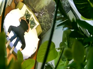 [亞洲無碼] 大神潜入酒店餐厅女厕全景偷拍多位高颜值小姐姐各种极品嫩鲍鱼完美展示[116 MP4 1240MB]