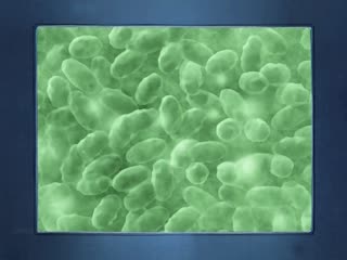 109 33:18HD马尾妹完美视角超近距离口交抽插