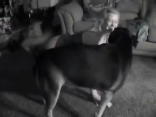 女体百科ENCY003花花