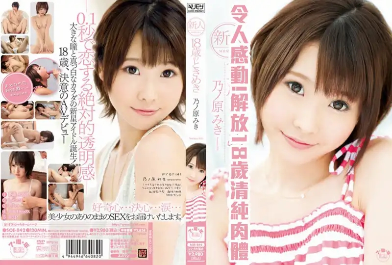 ROE ( ) JAV 破坏版 193 安野由美