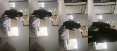 爽操舌钉母狗，口的巨爽