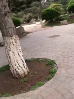 [私人订制]有男朋友还忍不住出轨寻刺激，约炮调教啪啪啪[57:24]