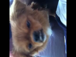 Public PickUp 漂亮女孩和射精在屁股上