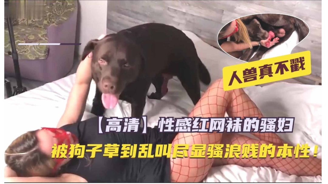 DASS821 白峰美羽时间停止下被爆操！硬鸡巴狂揉骚穴内射怀孕
