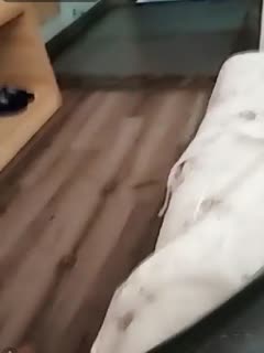 每日动漫 令人心动的小小的房东小姐4 萝莉房东制服诱惑 航天装扮把肉棒当操纵杆无套内射的极爽日常